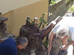 Reisse-14.jpg Reisse-14.jpg