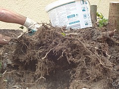 Reisse-19.jpg Reisse-19.jpg